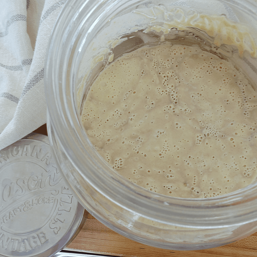 Step by step process of salvaging a moldy sourdough starter