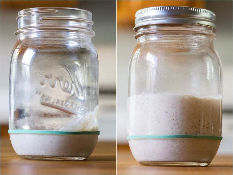 Troubleshooting Tips For When Your Sourdough Starter Isn't Rising