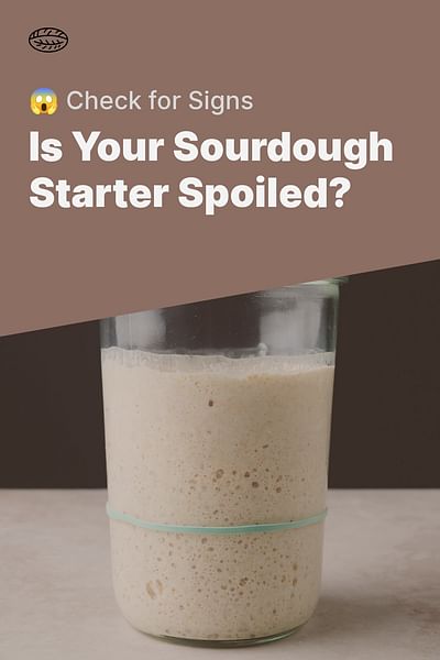 How Can I Tell If My Sourdough Starter Has Gone Bad